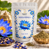 EGYPTIAN BLUE LILY [NEELOTPALA]